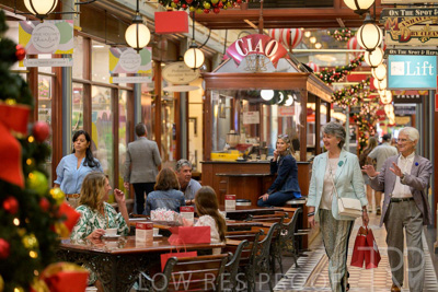 November 2024 / Ad-Arc-241104-_Z9C1319