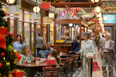 November 2024 / Ad-Arc-241104-_Z9C1322