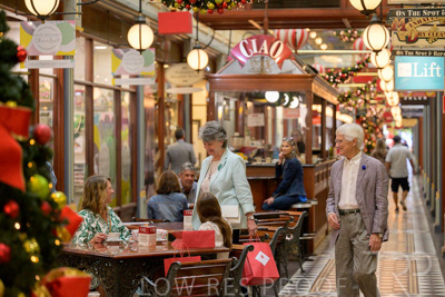 November 2024 / Ad-Arc-241104-_Z9C1338