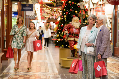 November 2024 / Ad-Arc-241104-_Z9C2542