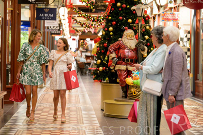 November 2024 / Ad-Arc-241104-_Z9C2641