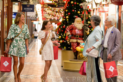 November 2024 / Ad-Arc-241104-_Z9C2766