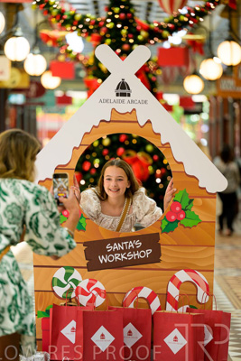 November 2024 / Ad-Arc-241104-_Z9C3081