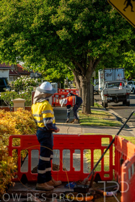 November 2023 / AGIG-Locklesy-SA-gas-mains-replacement-231108-_85E8430