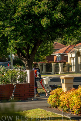 November 2023 / AGIG-Locklesy-SA-gas-mains-replacement-231108-_85E8464