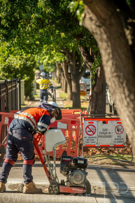 November 2023 / AGIG-Locklesy-SA-gas-mains-replacement-231108-_85E8510