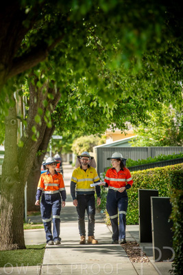 November 2023 / AGIG-Locklesy-SA-gas-mains-replacement-231108-_85E8600