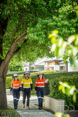 November 2023 / AGIG-Locklesy-SA-gas-mains-replacement-231108-_85E8659