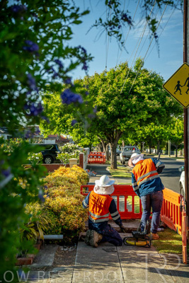 November 2023 / AGIG-Locklesy-SA-gas-mains-replacement-231108-_Z9C7636