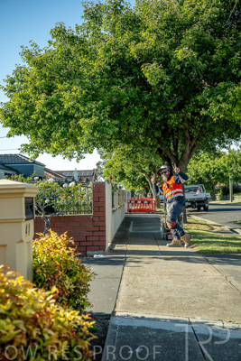 November 2023 / AGIG-Locklesy-SA-gas-mains-replacement-231108-_Z9C7654