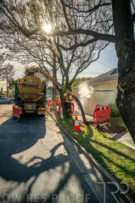 November 2023 / AGIG-Locklesy-SA-gas-mains-replacement-231108-_Z9C7708