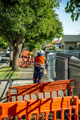 November 2023 / AGIG-Locklesy-SA-gas-mains-replacement-231108-_Z9C7751