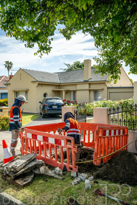 November 2023 / AGIG-Locklesy-SA-gas-mains-replacement-231108-_Z9C9078