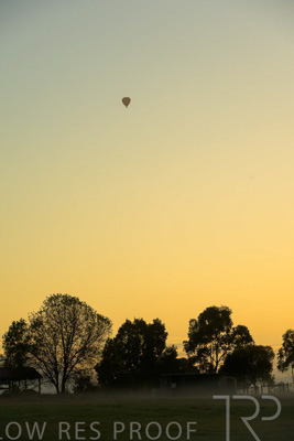 February 2024 / AGIG-Yarra-Glen-VIC_240227-_Z8C6625