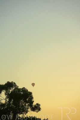 February 2024 / AGIG-Yarra-Glen-VIC_240227-_Z8C6628