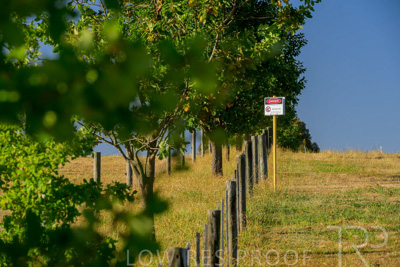 February 2024 / AGIG-Yarra-Glen-VIC_240227-_Z8C6904