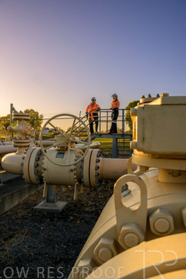 February 2024 / AGIG-Yarra-Glen-VIC_240227-_Z9C0126