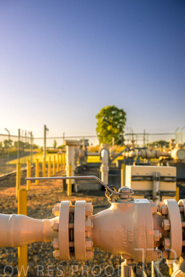 February 2024 / AGIG-Yarra-Glen-VIC_240227-_Z9C0172