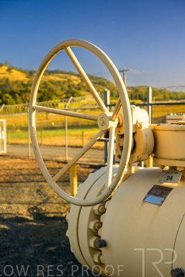 February 2024 / AGIG-Yarra-Glen-VIC_240227-_Z9C0189
