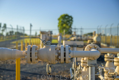 February 2024 / AGIG-Yarra-Glen-VIC_240227-_Z9C0413