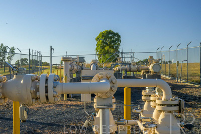 February 2024 / AGIG-Yarra-Glen-VIC_240227-_Z9C0417