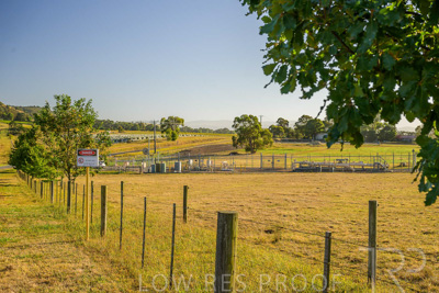 February 2024 / AGIG-Yarra-Glen-VIC_240227-_Z9C0518