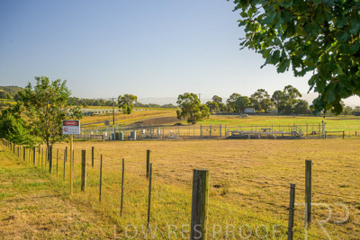 February 2024 / AGIG-Yarra-Glen-VIC_240227-_Z9C0521