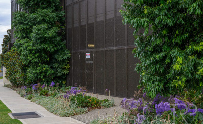 February 2024 / AGIG-Caufield-Village-VIC_240228-_Z9C2005