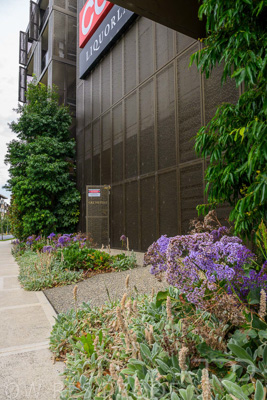 February 2024 / AGIG-Caufield-Village-VIC_240228-_Z9C2131