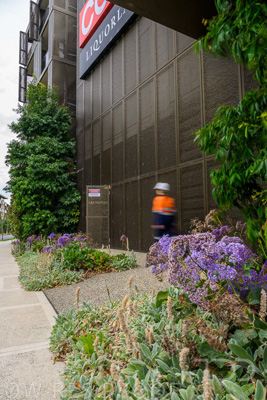 February 2024 / AGIG-Caufield-Village-VIC_240228-_Z9C2153