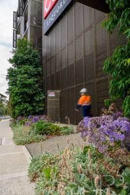 February 2024 / AGIG-Caufield-Village-VIC_240228-_Z9C2176