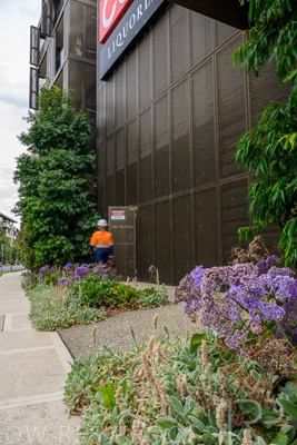 February 2024 / AGIG-Caufield-Village-VIC_240228-_Z9C2187