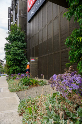 February 2024 / AGIG-Caufield-Village-VIC_240228-_Z9C2195