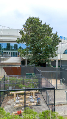 February 2024 / AGIG-Rod-Laver-Arena-Mlebourne_240228-DJI_20240228132417_0159_D