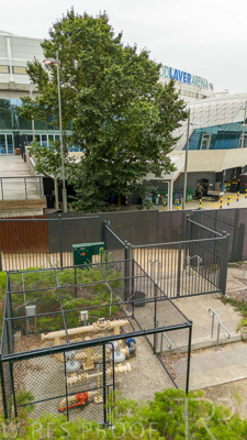 February 2024 / AGIG-Rod-Laver-Arena-Mlebourne_240228-DJI_20240228133438_0264_D