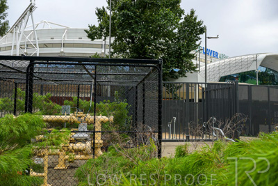 February 2024 / AGIG-Rod-Laver-Arena-Mlebourne_240228-_Z9C2411