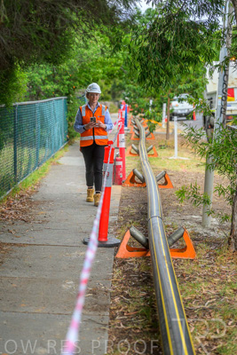 February 2024 / AGIG-Mains-replacement-Hampton-VIC_240228-_Z8C7654