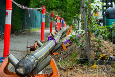 February 2024 / AGIG-Mains-replacement-Hampton-VIC_240228-_Z8C7962