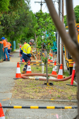 February 2024 / AGIG-Mains-replacement-Hampton-VIC_240228-_Z8C8346