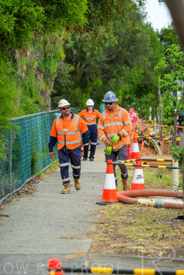 February 2024 / AGIG-Mains-replacement-Hampton-VIC_240228-_Z8C8370