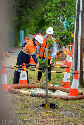 February 2024 / AGIG-Mains-replacement-Hampton-VIC_240228-_Z8C8451