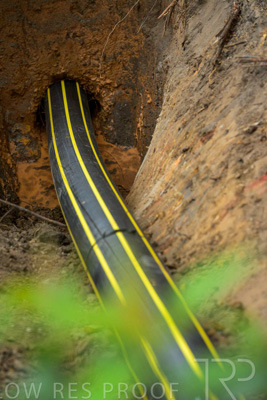 February 2024 / AGIG-Mains-replacement-Hampton-VIC_240228-_Z8C8783