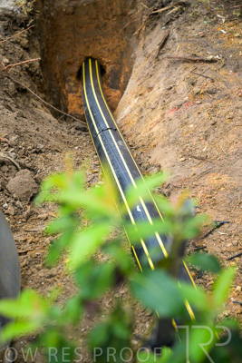 February 2024 / AGIG-Mains-replacement-Hampton-VIC_240228-_Z9C1976