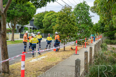 February 2024 / AGIG-Mains-replacement-Hampton-VIC_240228-_Z9C1988