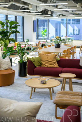 February 2024 / AGIG-Meeting_Rooms_240228-_Z9C3322