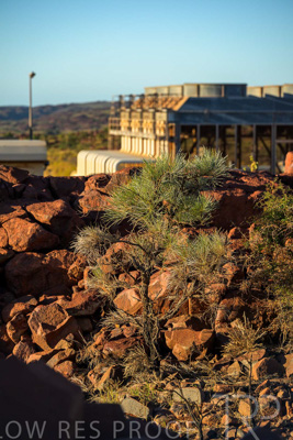 June 2024 / DAMPIER-FACILITY-240605-_Z8C2503