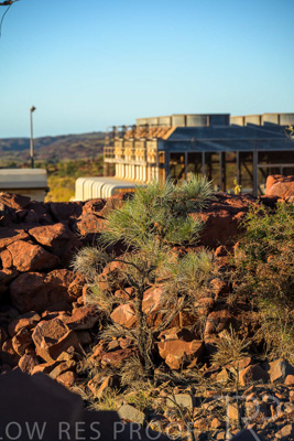 June 2024 / DAMPIER-FACILITY-240605-_Z8C2506