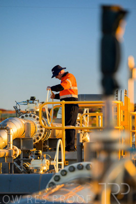 June 2024 / DAMPIER-FACILITY-240605-_Z8C2685