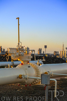 June 2024 / DAMPIER-FACILITY-240605-_Z8C2773