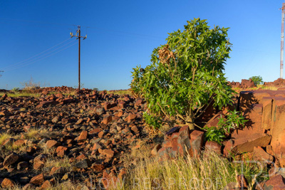 June 2024 / DAMPIER-FACILITY-240605-_Z9C6803